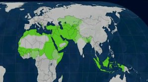 Mit offenen Karten: Weltkarte der Religionen